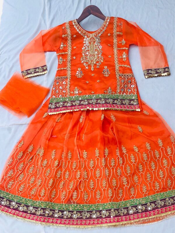 Organza Lehenga with Tilla and Mirror Work Maryams Collection